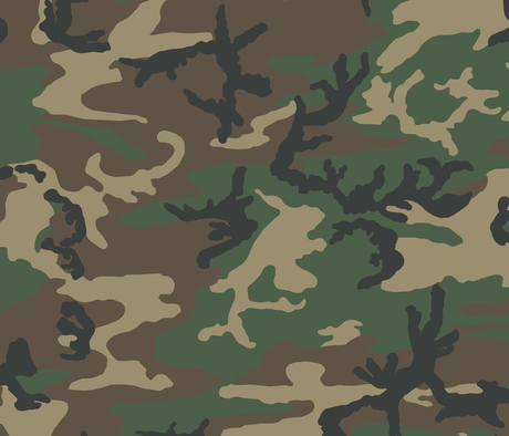 The Art of Concealment: A Comprehensive Guide to Camouflage