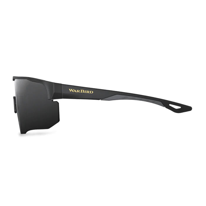 Warbird Sunglasses Deep State