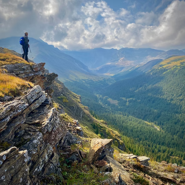 Radically Wild, True Tales of Adventure, Wilderness Survival - by Scott Sunderwald