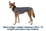 Ruffwear Overcoat Jacket