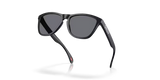 Oakley Frogskins - Matte Black w/ Grey Injected Lenses