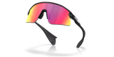 Oakley Stunt Devil
