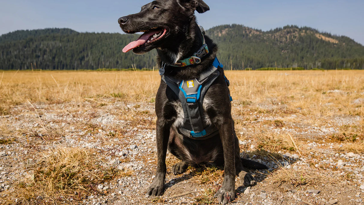 Ruffwear Brush Guard