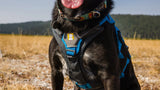 Ruffwear Brush Guard