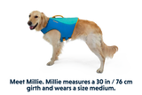 Ruffwear Float Coat Life Jacket