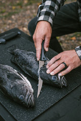 Kershaw - Foldingfillet Knife