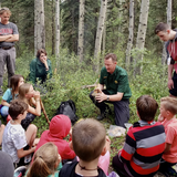 Radically Wild, True Tales of Adventure, Wilderness Survival - by Scott Sunderwald