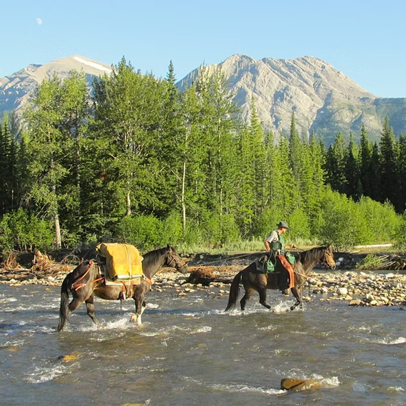 Radically Wild, True Tales of Adventure, Wilderness Survival - by Scott Sunderwald