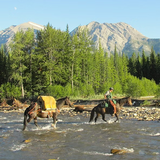 Radically Wild, True Tales of Adventure, Wilderness Survival - by Scott Sunderwald