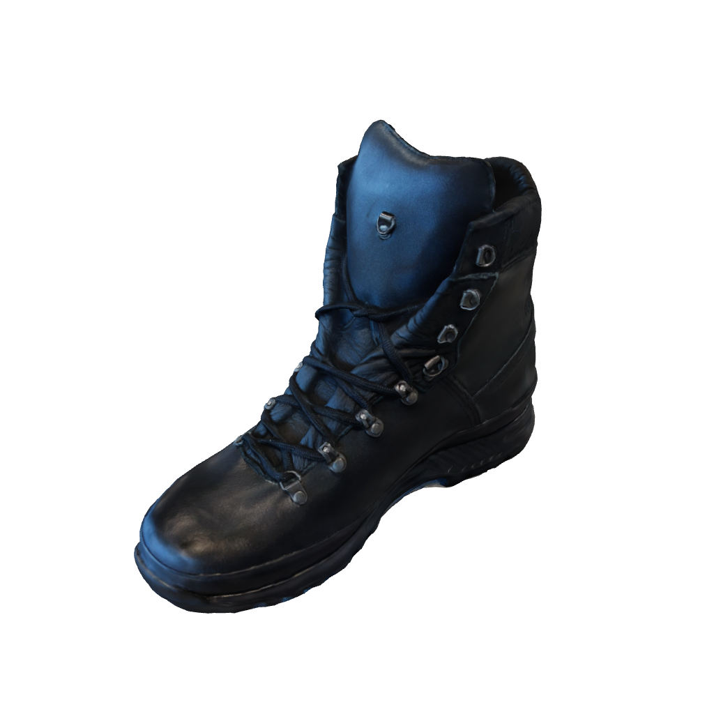 Hanwags boots special forces gtx hot sale