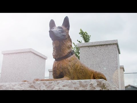 WPS K9 Coin 2025 - Version 2