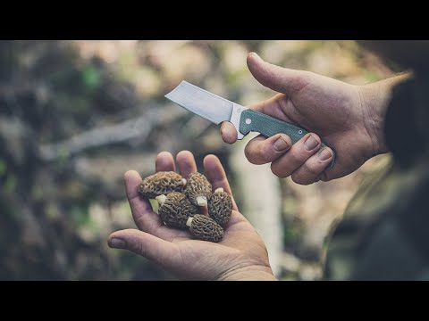 Gerber - ASADA - Onyx – Urban Tactical